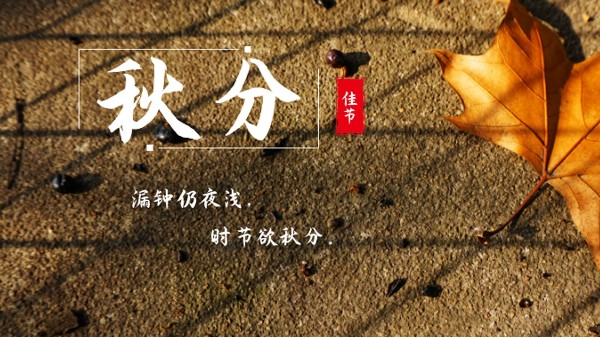 樓上樓門窗 | 白露秋分夜,一夜冷一夜，高端門窗安排上！